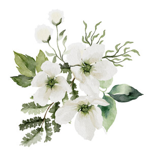 白色花卉水彩插画