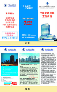 中国大地保险