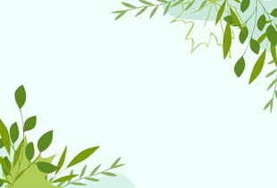 绿植边角背景