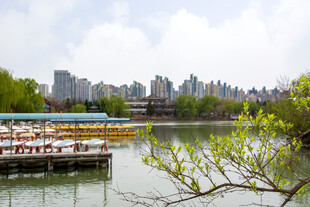湖畔码头城市风光
