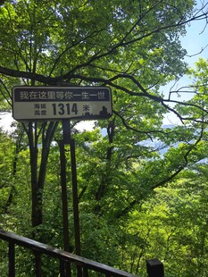 山林中指向城镇的指示路标