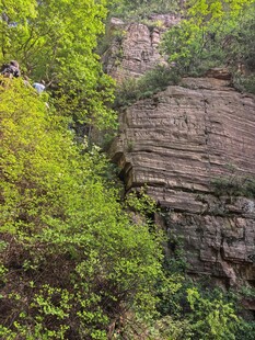 山间岩壁旁的葱郁植被