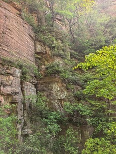 山间峭壁绿植景观