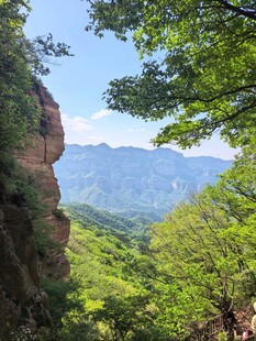 山间绿意浓远岫入眼帘