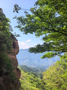 山间峭壁旁的葱郁景致