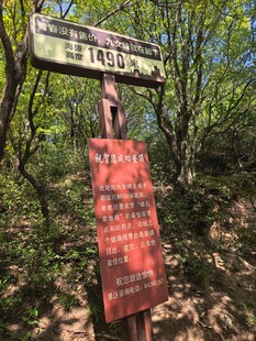 森林中的指示路标