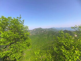 山间绿意盎然的秀丽景致