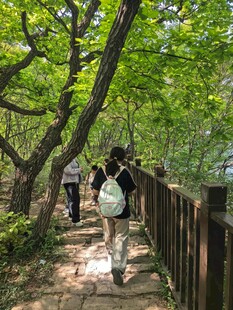 林间小道上的徒步旅行者