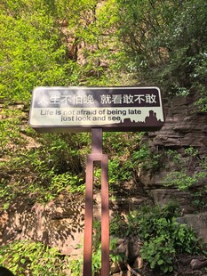标识牌立于绿植间
