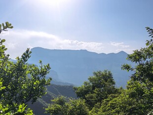 青山绿树间的明媚山景