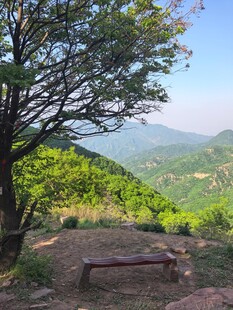 山间休憩处树影伴远山