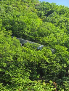 山林间的隐秘管道