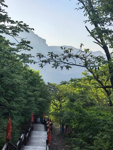 山林间的漫步小道