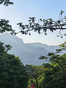 山林间的朦胧远山景色