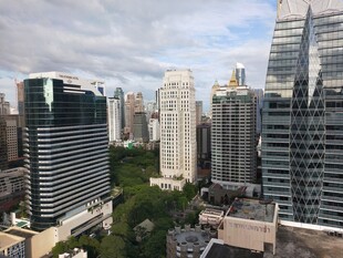 城市高楼与绿植景观