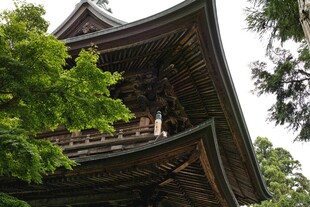 日式古建绿荫环绕之景