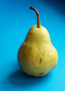 黄梨