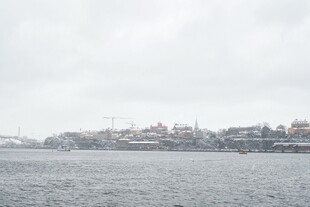 海滨城市景观