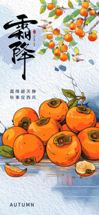 霜降节气海报插画