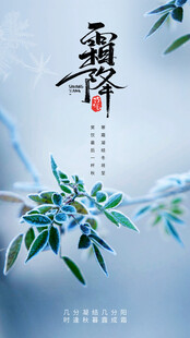 霜降节气海报插画