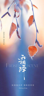 霜降节气海报插画