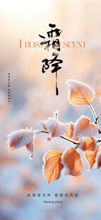 霜降节气海报插画