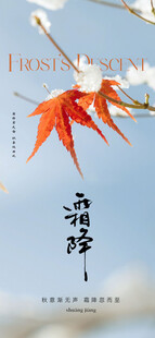 霜降节气海报插画