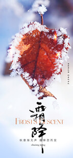 霜降节气海报插画