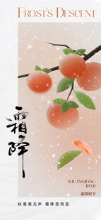霜降节气海报插画