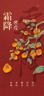 霜降时节柿子枝头挂