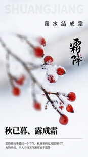 霜降节气海报插画