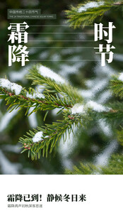 霜降时节的松枝覆雪