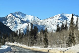 雪山公路旁的冬日森林景观