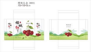 樱桃包装