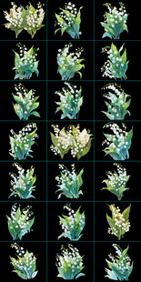 铃兰花