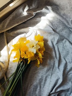 黄白水仙花