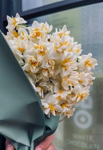 手持清新水仙花花束