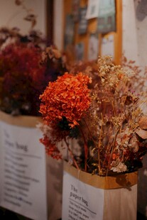 绣球花 
