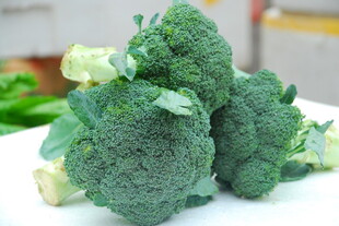 新鲜西兰花堆叠