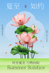 夏至荷花绽放节气海报