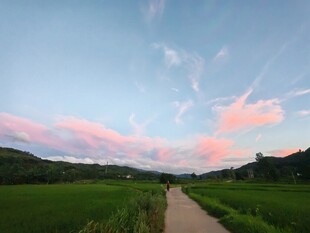 乡间小道天边绚烂晚霞