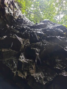 仰视下的嶙峋岩石与绿树