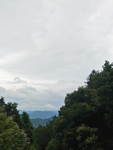 山林间的云雾景致