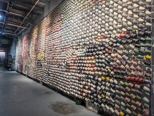 满墙酒瓶的独特室内场景