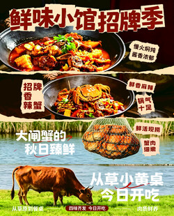单页 海报 宣传单鲜味