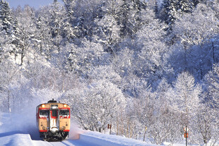 冬日雪林里行驶的列车