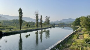 河畔风光宁静自然美景