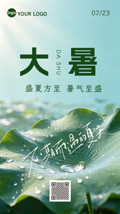 大暑节气海报展示