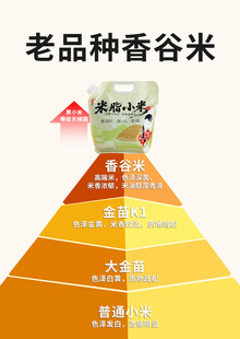 老品种香谷米营养金字塔