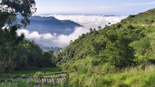 山间绿野云海美景